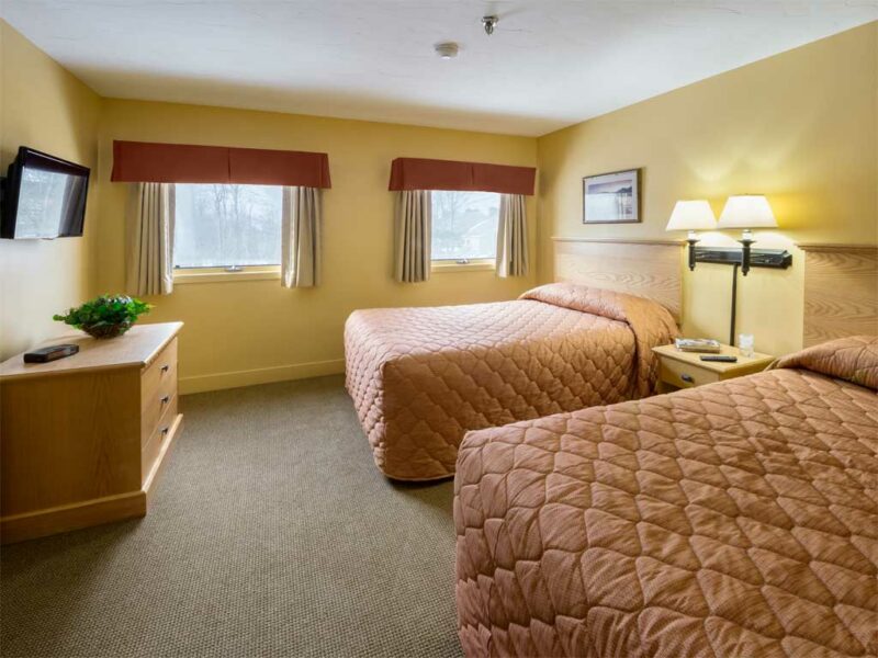 Host up to 6 people with 2 full beds and a queen sized pullout sofa