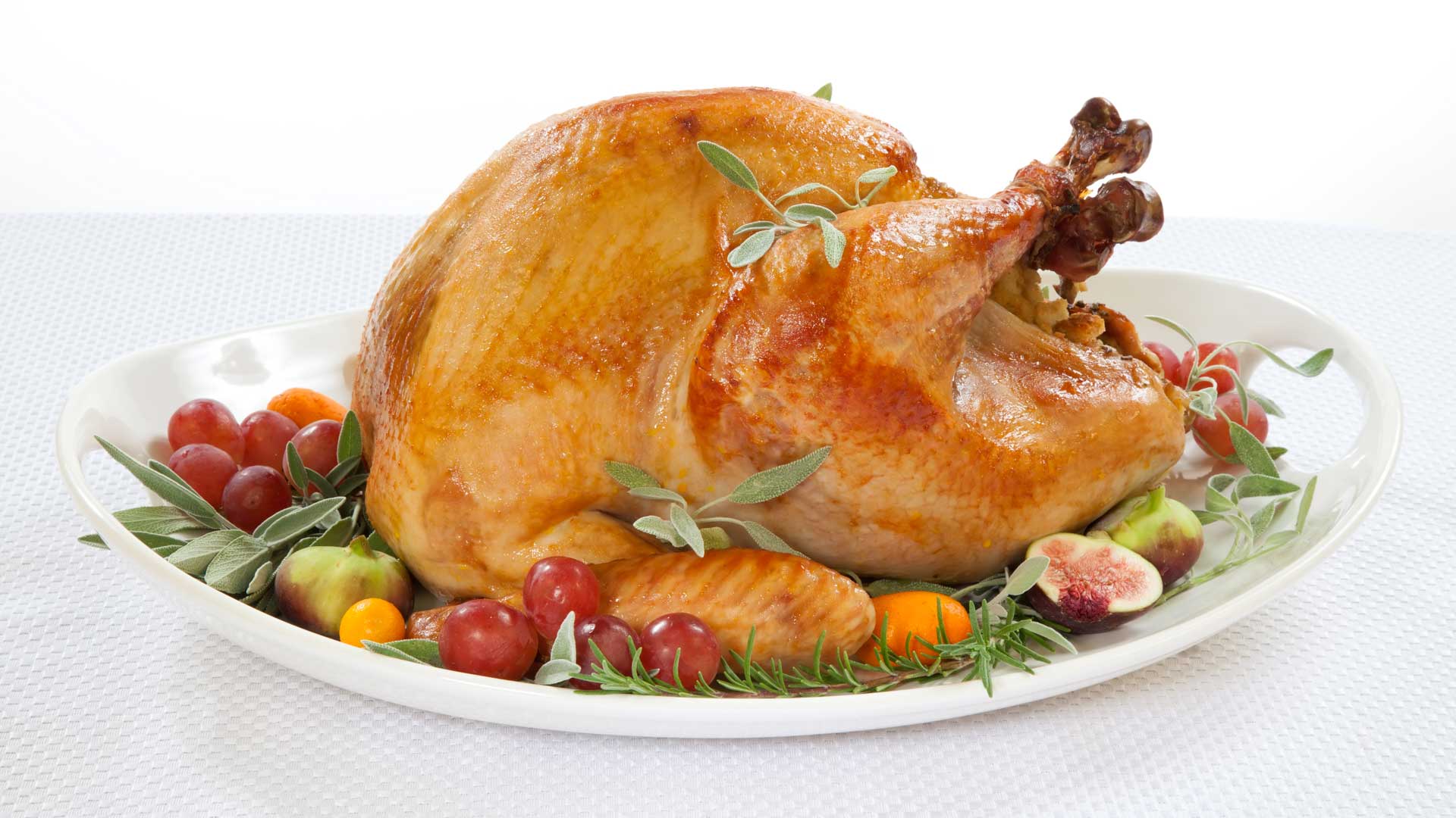shr_thanksgiving